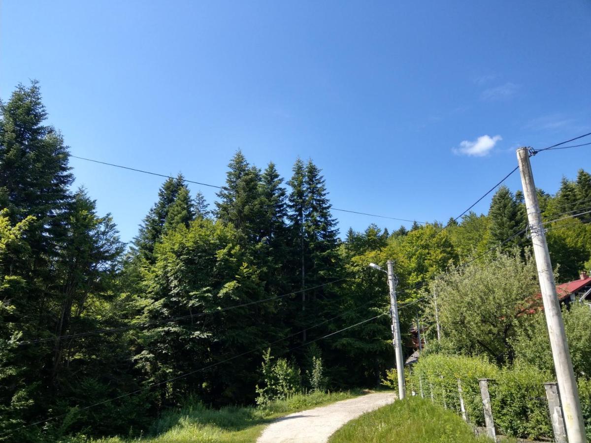 Grandpa's Hidden Crib, 6 Bedroom, Pet Friendly Chaletu *