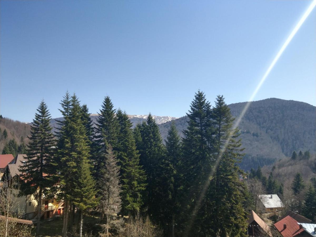 Chaletu Grandpa's Hidden Crib, 6 Bedroom, Pet Friendly