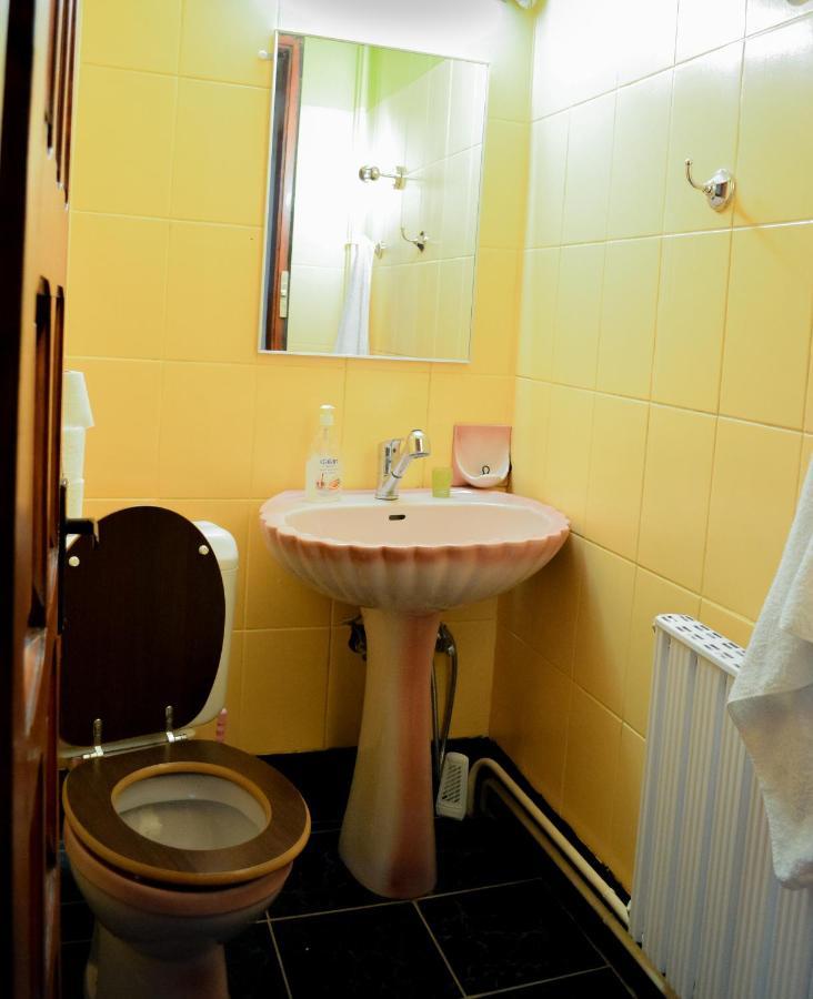 Grandpa's Hidden Crib, 6 Bedroom, Pet Friendly * Sinaia
